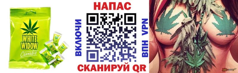 Canna-Cookies марихуана Ак-Довурак