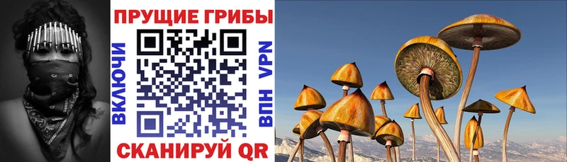 где продают   Ак-Довурак  ссылка на мегу как зайти  Псилоцибиновые грибы прущие грибы 